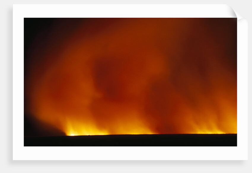 Grass Fire at Night by Anonymous