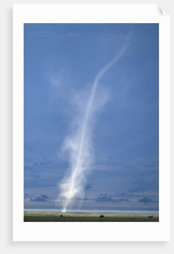 Whirlwind Rising from Savanna by Anonymous