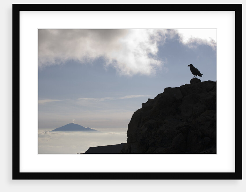 Bird on Ledge and Mount Meru by Anonymous