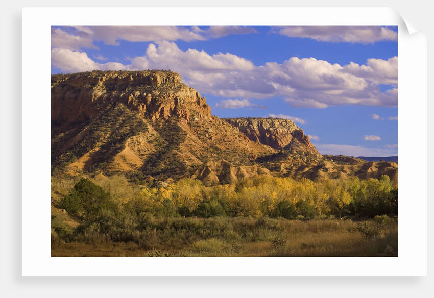 Mesa by Anonymous