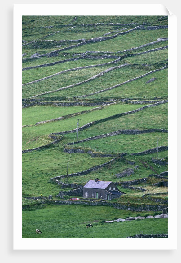 Cottage and Farm at Garraun Point by Anonymous