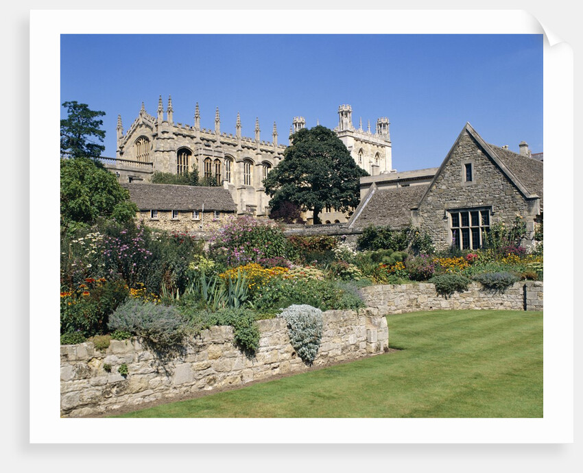 Garden at Christ Church College by Anonymous
