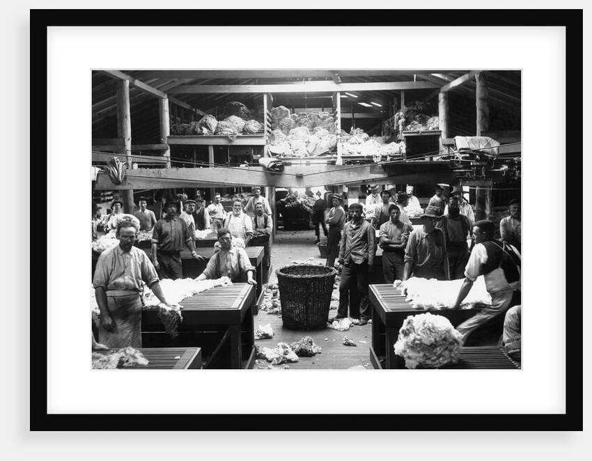 Wool Sorting at Burrawong Station by Anonymous