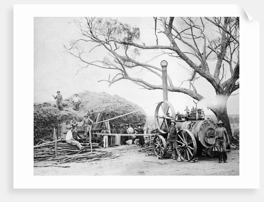 Australian Farmers at chaff cutting plant by Anonymous