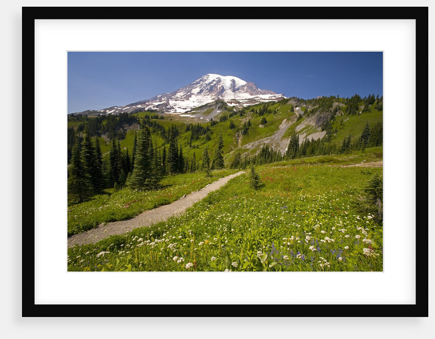 Mount Rainier National Park by Anonymous