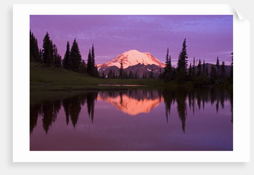 Mount Rainier and Tipsoo Lake by Anonymous