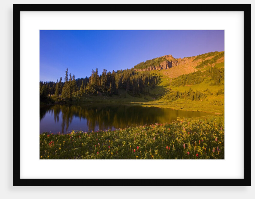 Tipsoo Lake and Naches Peak by Anonymous