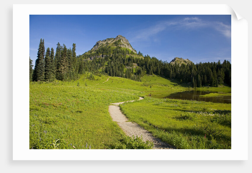 Yakima Peak and Tipsoo Lake by Anonymous