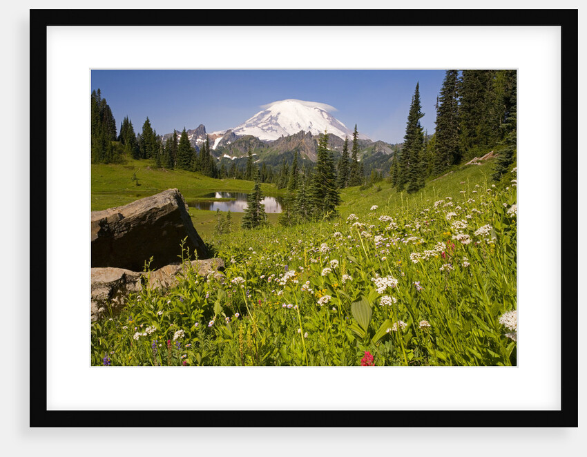 Mount Rainier National Park by Anonymous