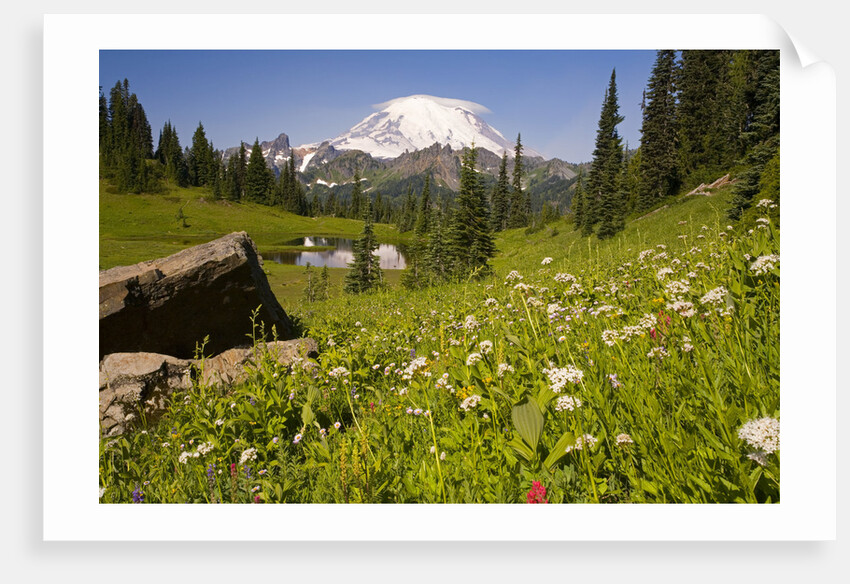 Mount Rainier National Park by Anonymous