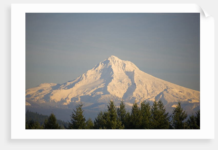 Mount Hood by Anonymous