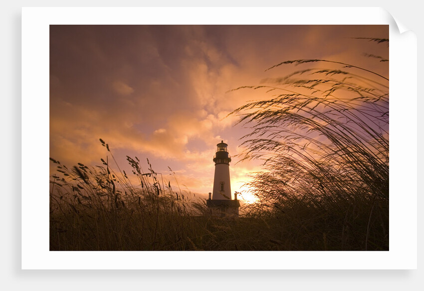 Yaquina Head Lighthouse at Sunset by Anonymous