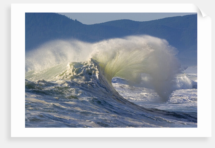 Wave Curl in Winter Storm by Anonymous