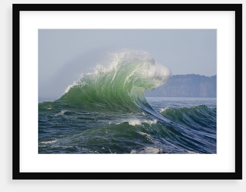 Wave Curl in Winter Storm by Anonymous