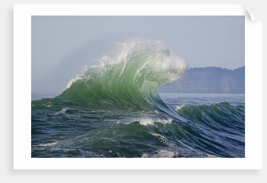 Wave Curl in Winter Storm by Anonymous