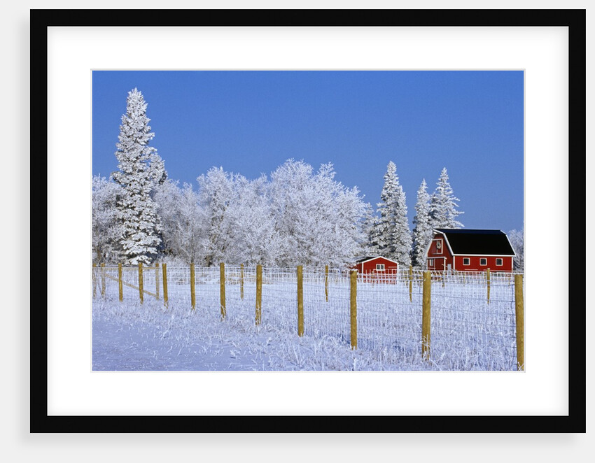 Farm in Winter by Anonymous