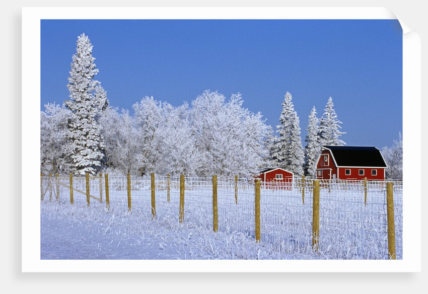 Farm in Winter by Anonymous