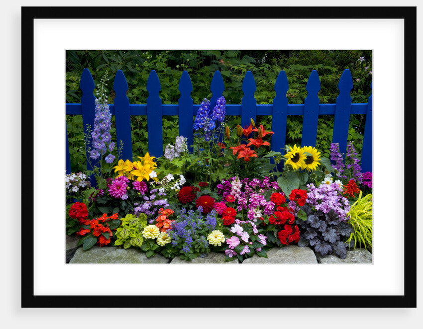Flower Garden and Picket Fence by Anonymous