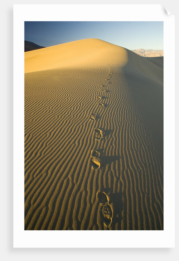 Footprints in Sand Dunes by Anonymous