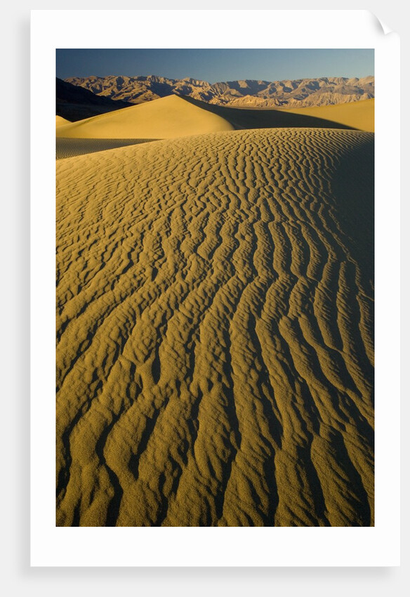 Ripples in Sand Dunes by Anonymous