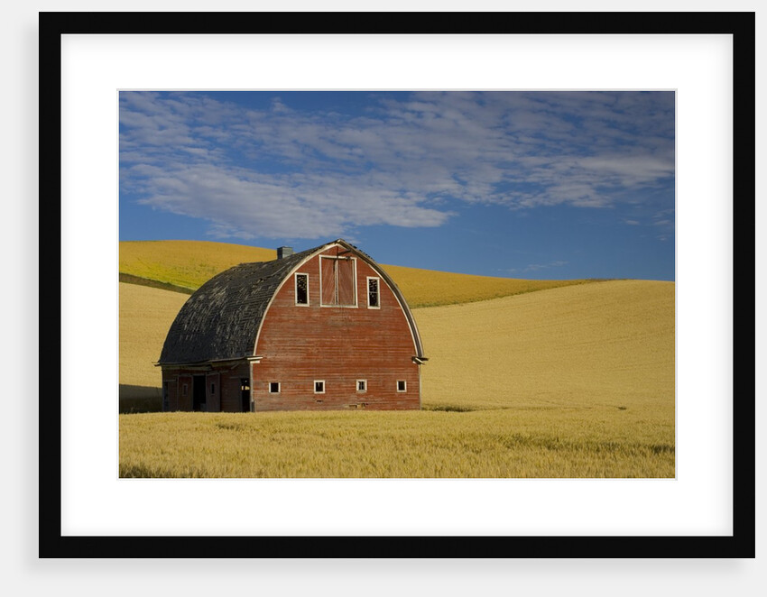 Red Barn in Wheat Field by Anonymous
