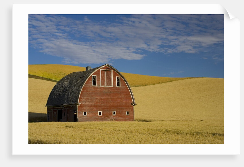 Red Barn in Wheat Field by Anonymous