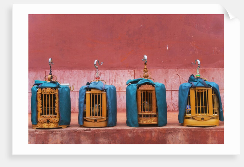 Wooden Bird Cages Against Ancient City Wall by Anonymous