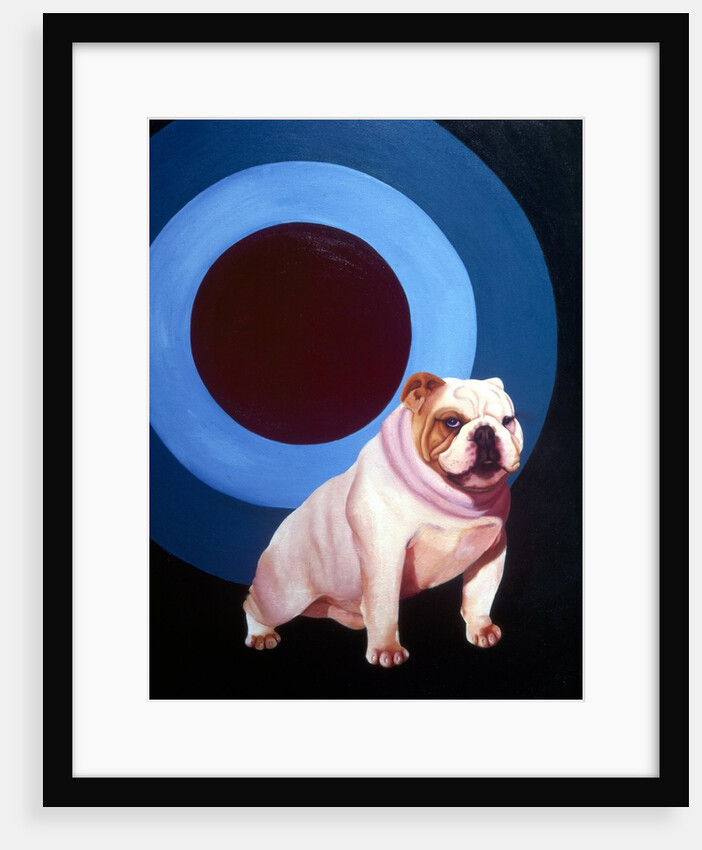 Bulldog in the middle of a bulls eye ring by Anonymous