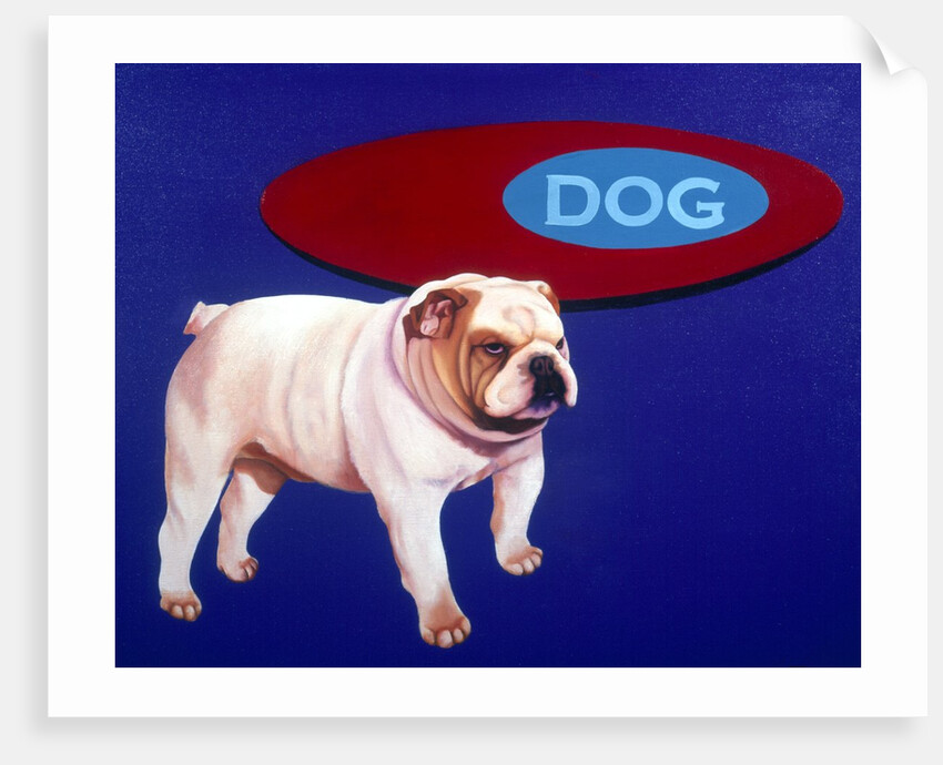 Bulldog by Anonymous