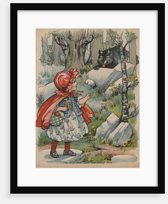The Wolf Finds Little Red Riding Hood Book Illustration by Anonymous