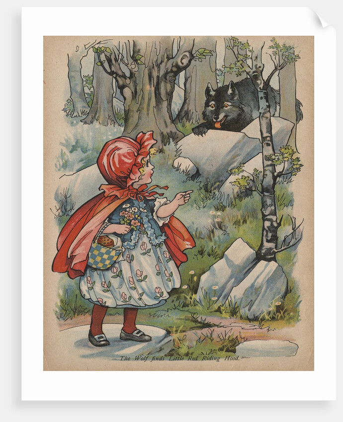 The Wolf Finds Little Red Riding Hood Book Illustration by Anonymous