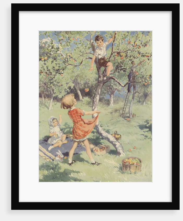 The Apple Orchard Book Illustration by Anonymous