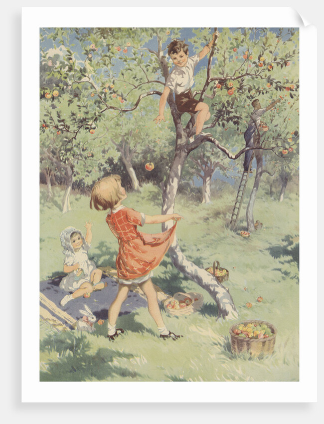 The Apple Orchard Book Illustration by Anonymous