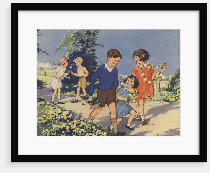 Dandelions Book Illustration by Anonymous