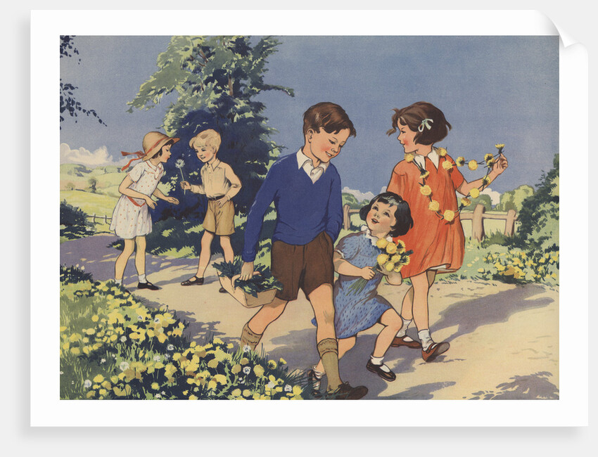 Dandelions Book Illustration by Anonymous