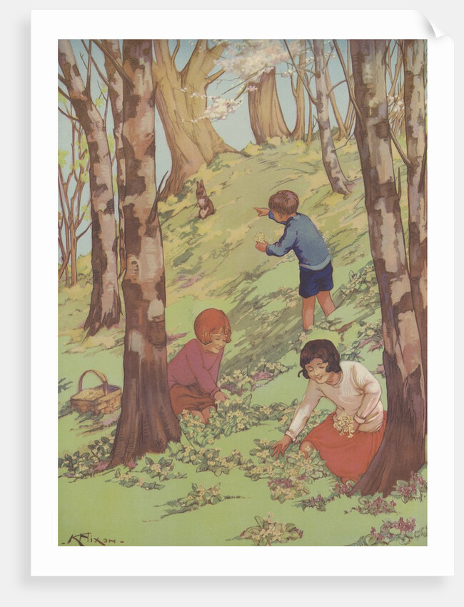 Primroses and Violets by K. Nixon