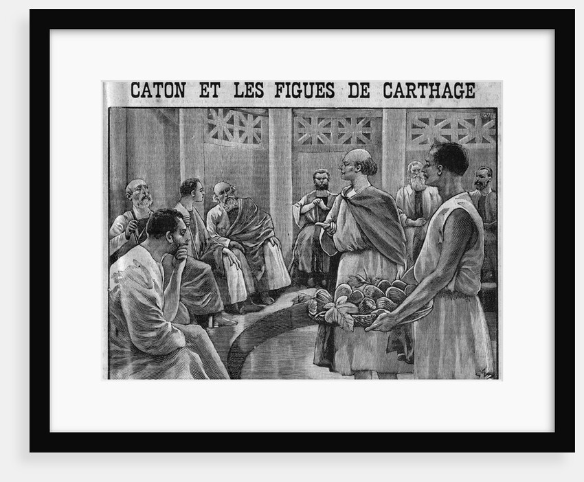 Illustration of Cato Showing Figs from Carthage to the Roman Senate by Anonymous