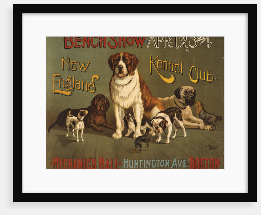 New England Kennel Club Bench Show Poster by Anonymous