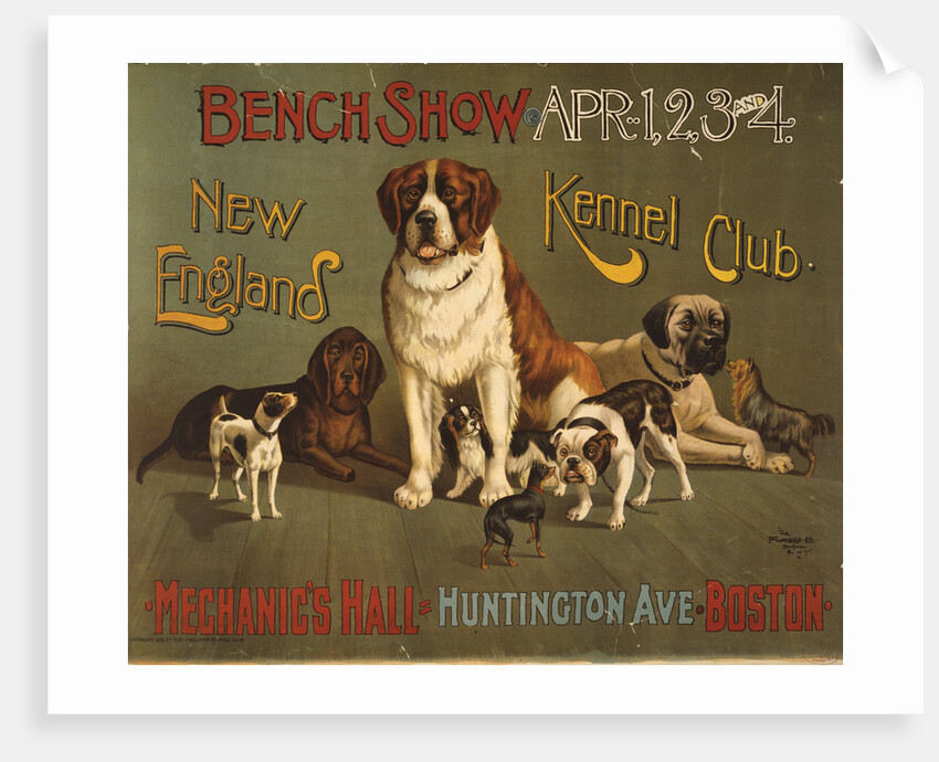 New England Kennel Club Bench Show Poster by Anonymous
