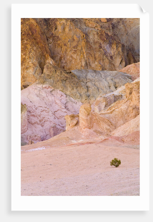 Colorful Badlands, Artist's Drive, Death Valley National Park by Anonymous