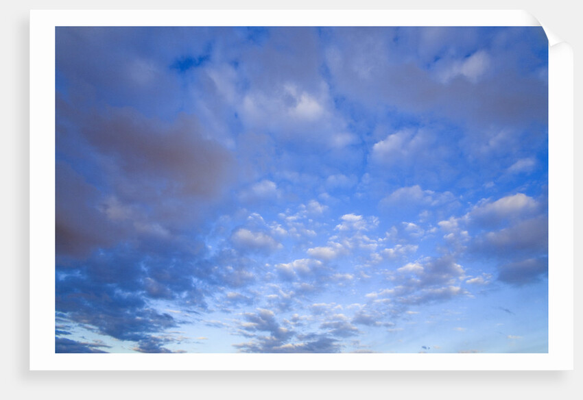 Cumulus Clouds Near Colorado River's Horseshoe Bend by Anonymous