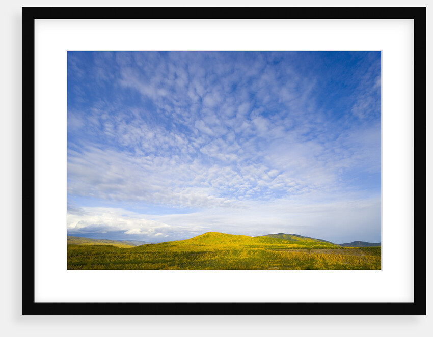 Northern British Columbia Landscape in Fall by Anonymous