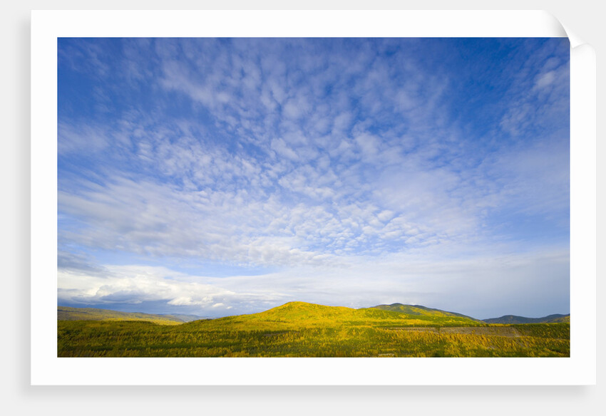 Northern British Columbia Landscape in Fall by Anonymous