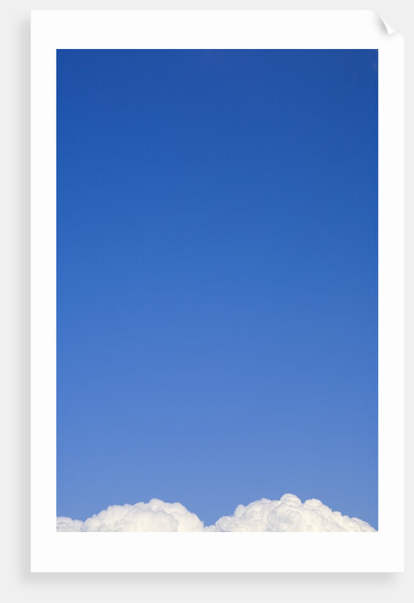 Cumulus Clouds Floating in Clear Blue Sky in Fall by Anonymous