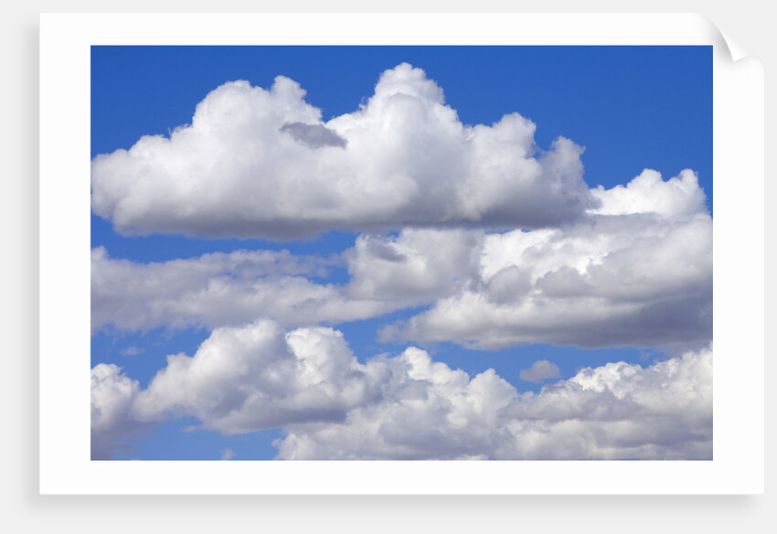 Cumulus Clouds Floating in Clear Blue Sky in Fall by Anonymous