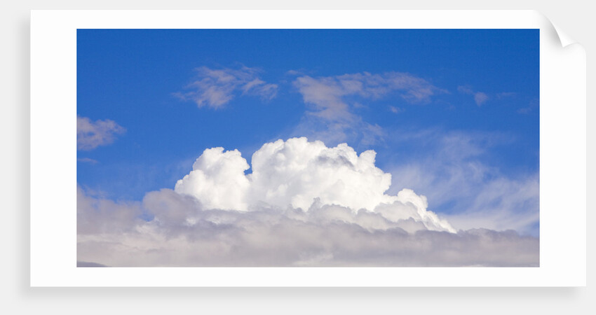 Dramatic Big Cumulus Clouds at Noon by Anonymous