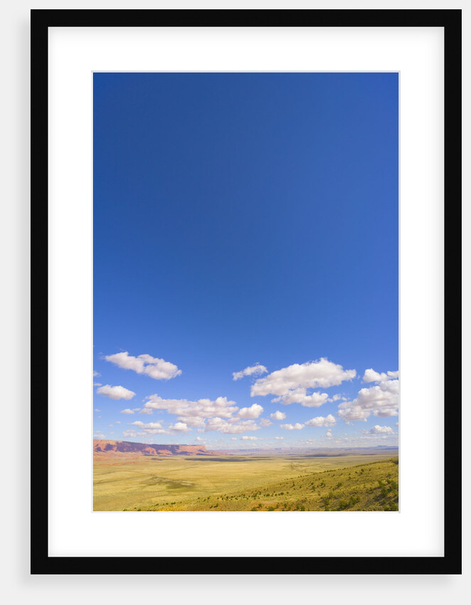 Round Cumulus Clouds Above Vermilion Cliffs by Anonymous