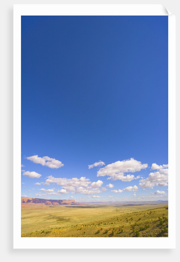 Round Cumulus Clouds Above Vermilion Cliffs by Anonymous