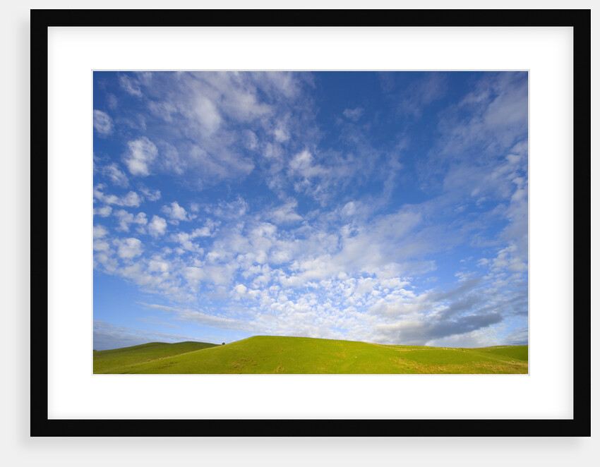 Rolling Green Hills and Dramatic Cumulus Clouds by Anonymous