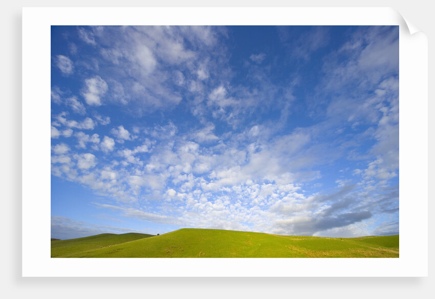 Rolling Green Hills and Dramatic Cumulus Clouds by Anonymous